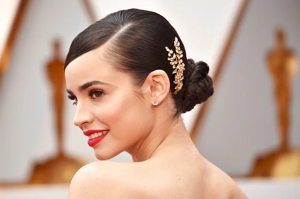 Smooth hairstyles for long hair