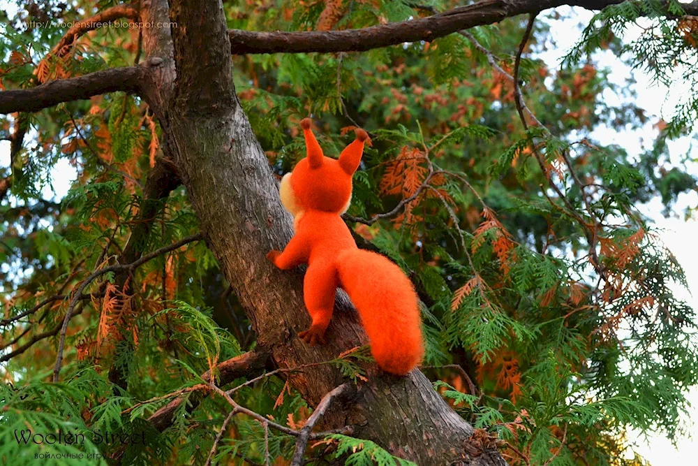 Squirrel ears