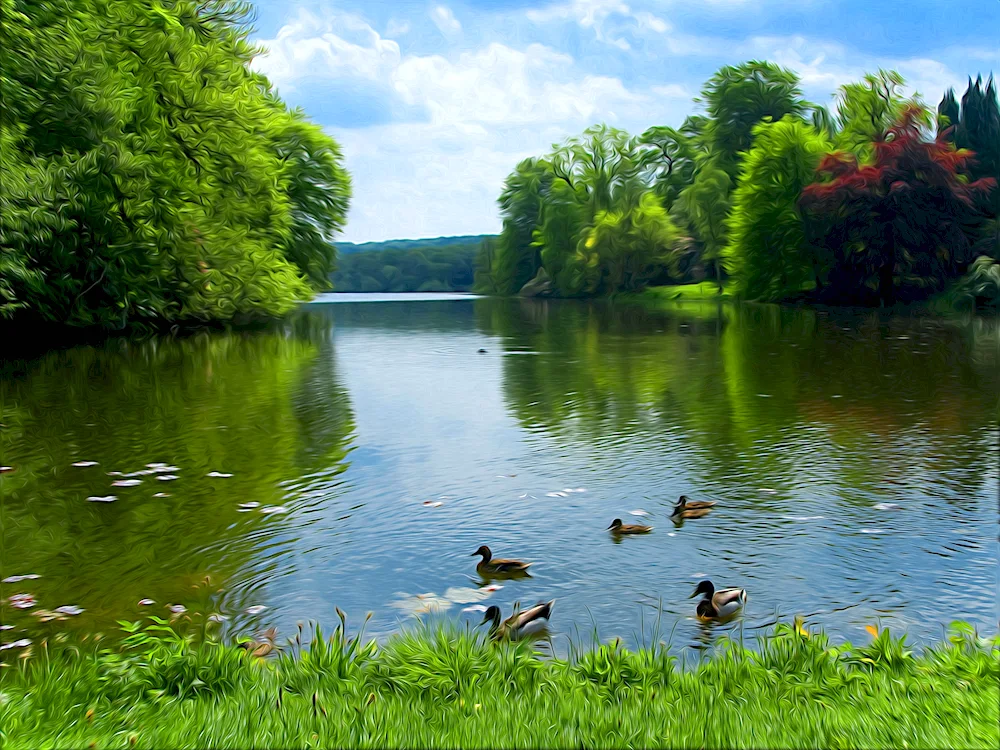 Belovezhskaya Pushcha river Forest