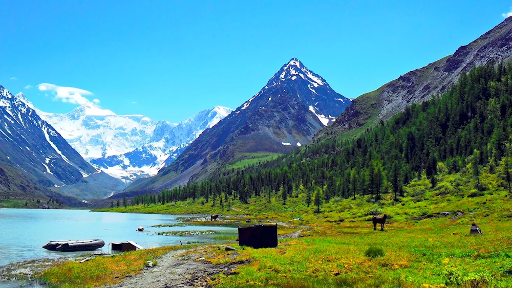 Belukha mountain Altai