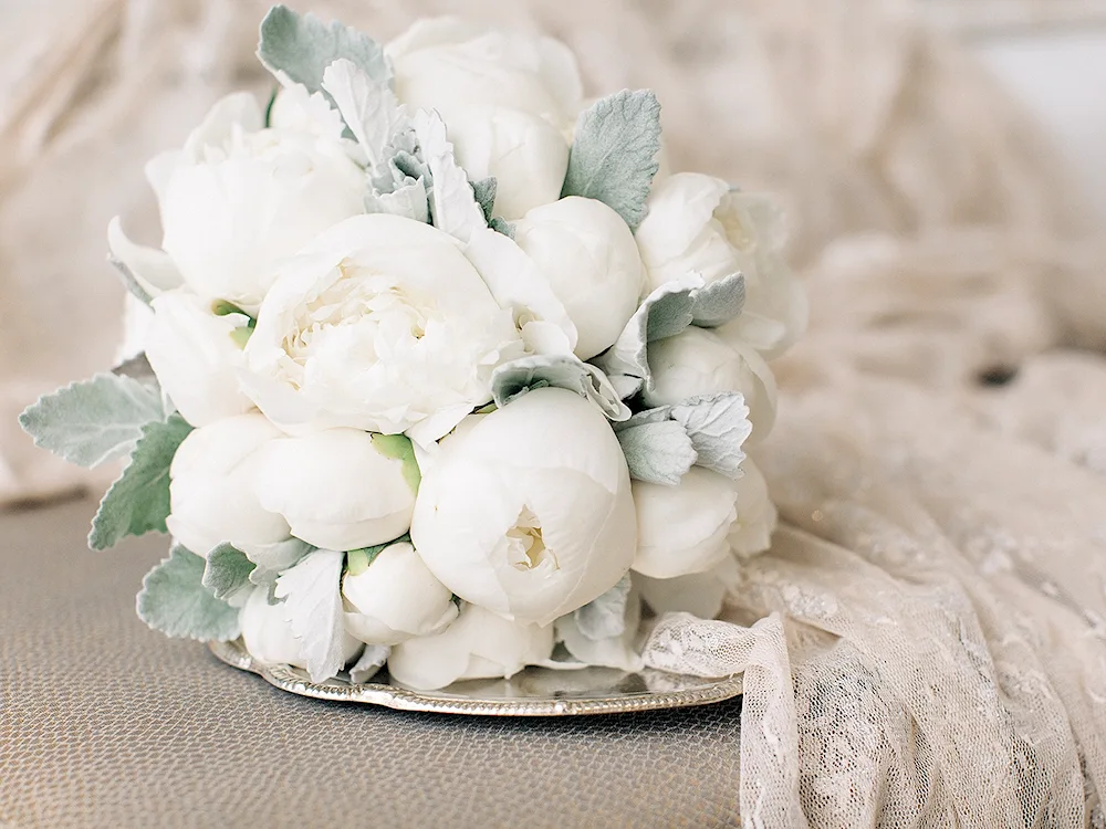 White peonies