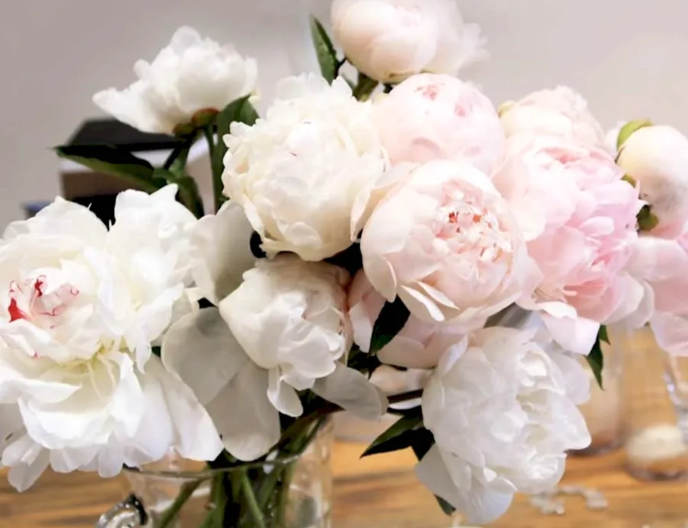 White peonies