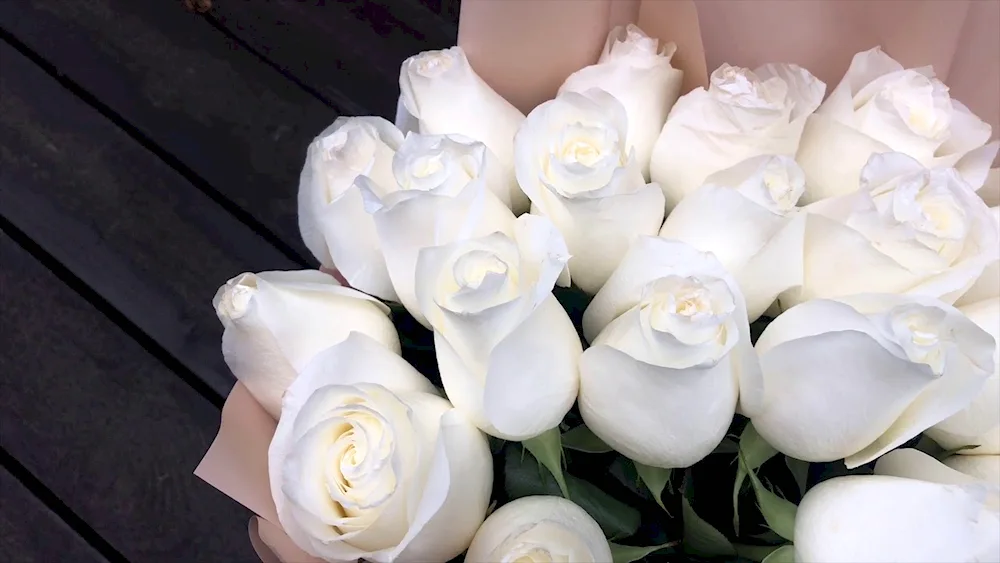 White roses