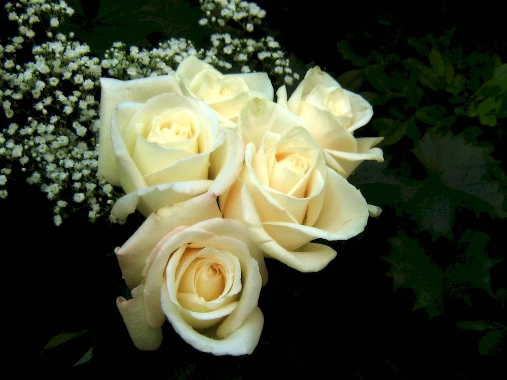 Beautiful white bouquet