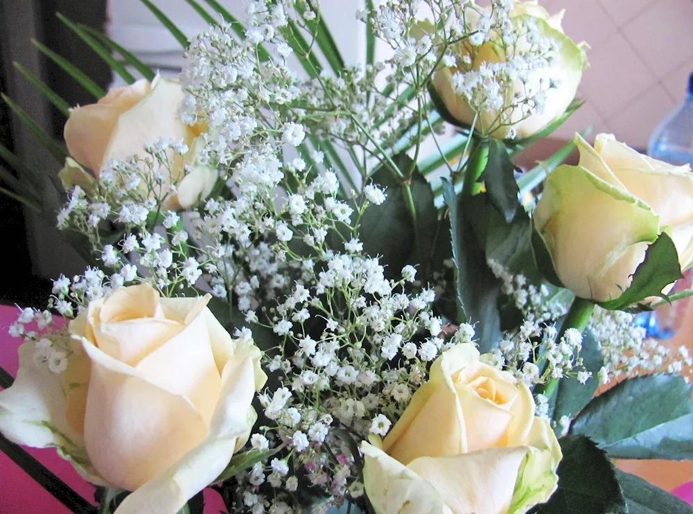 Hortensia and Gypsophila in a bouquet blue