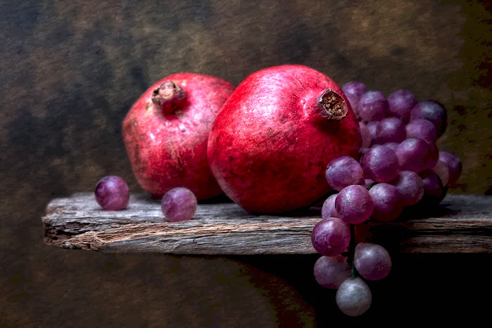 Nature still life