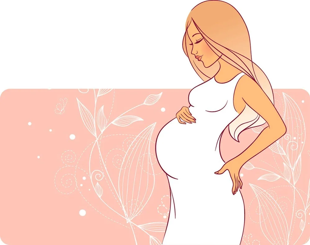 Pregnancy illustration