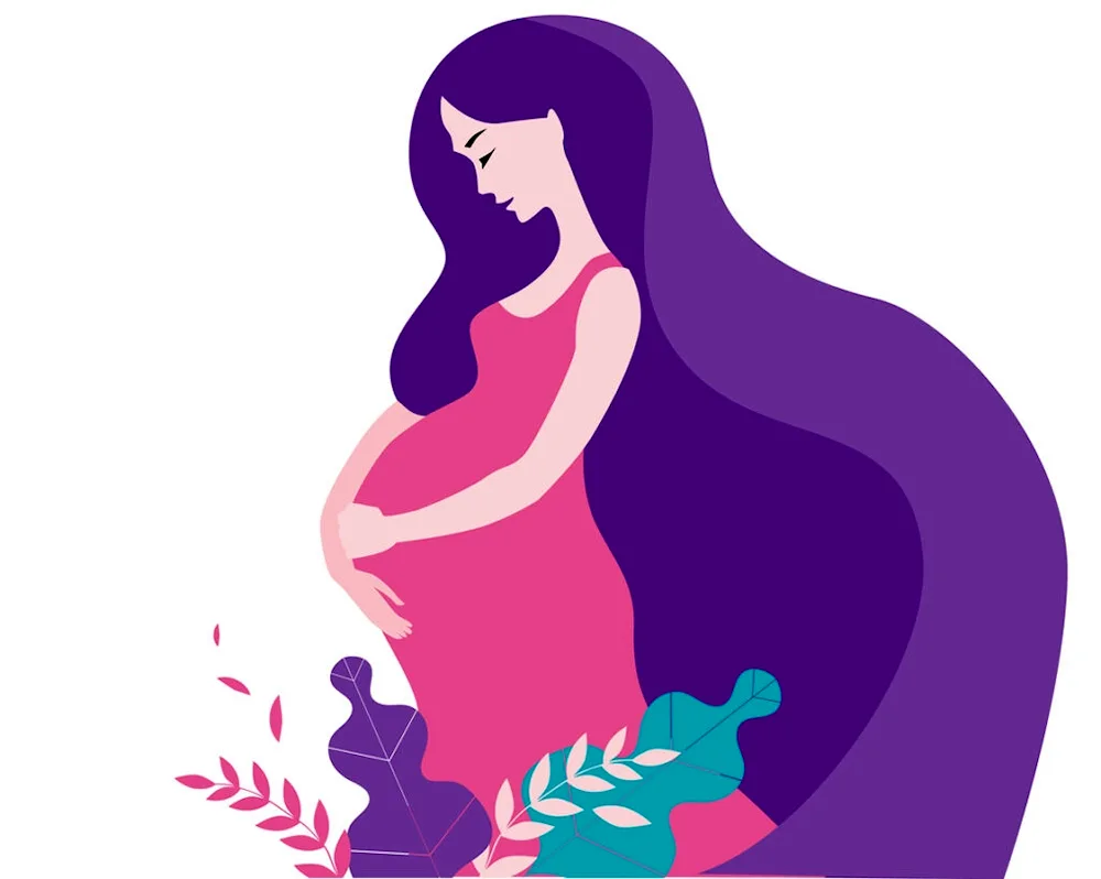 Pregnancy illustration