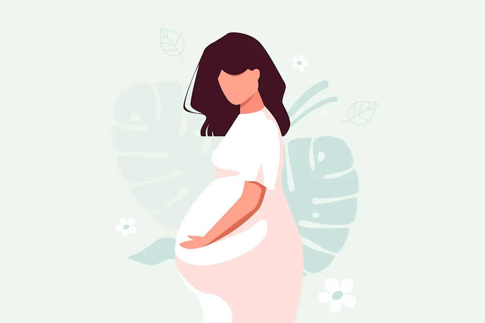 Pregnancy illustration