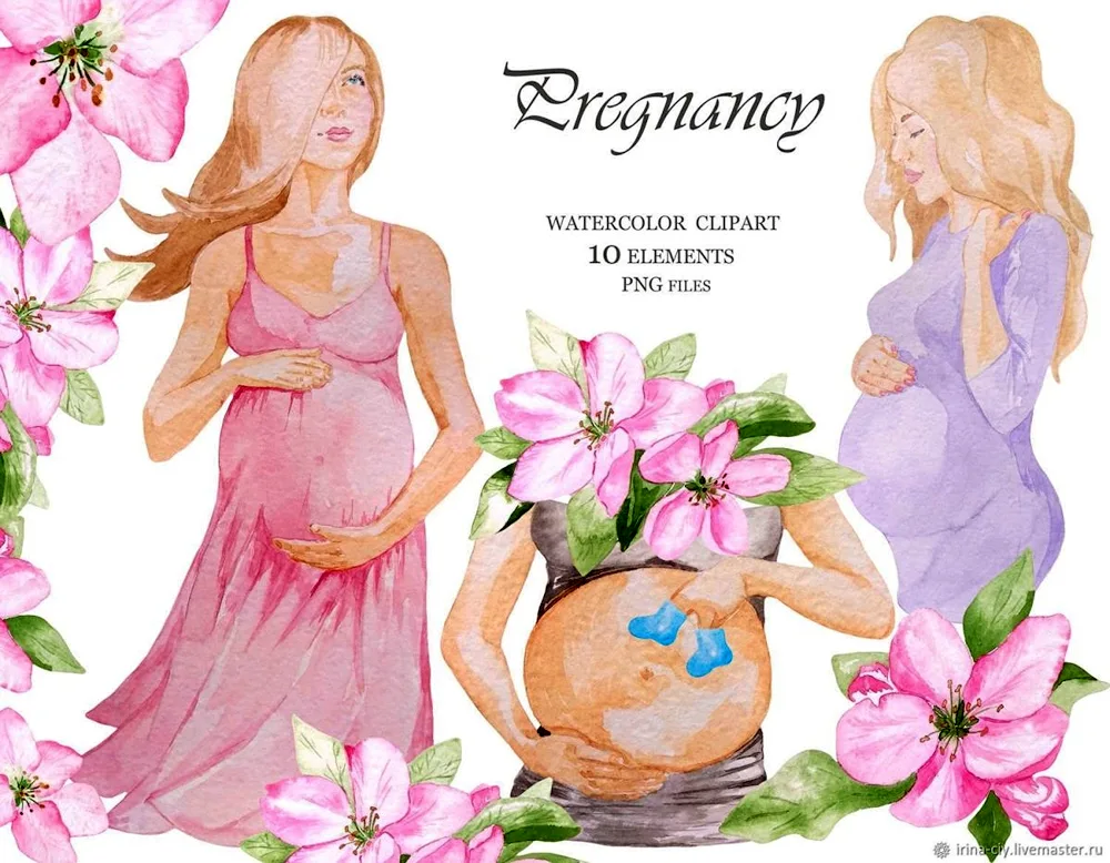 Pregnancy illustrations