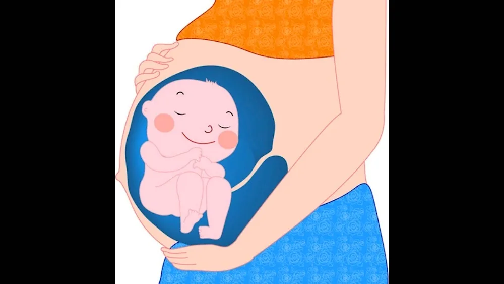 Pregnant woman outline