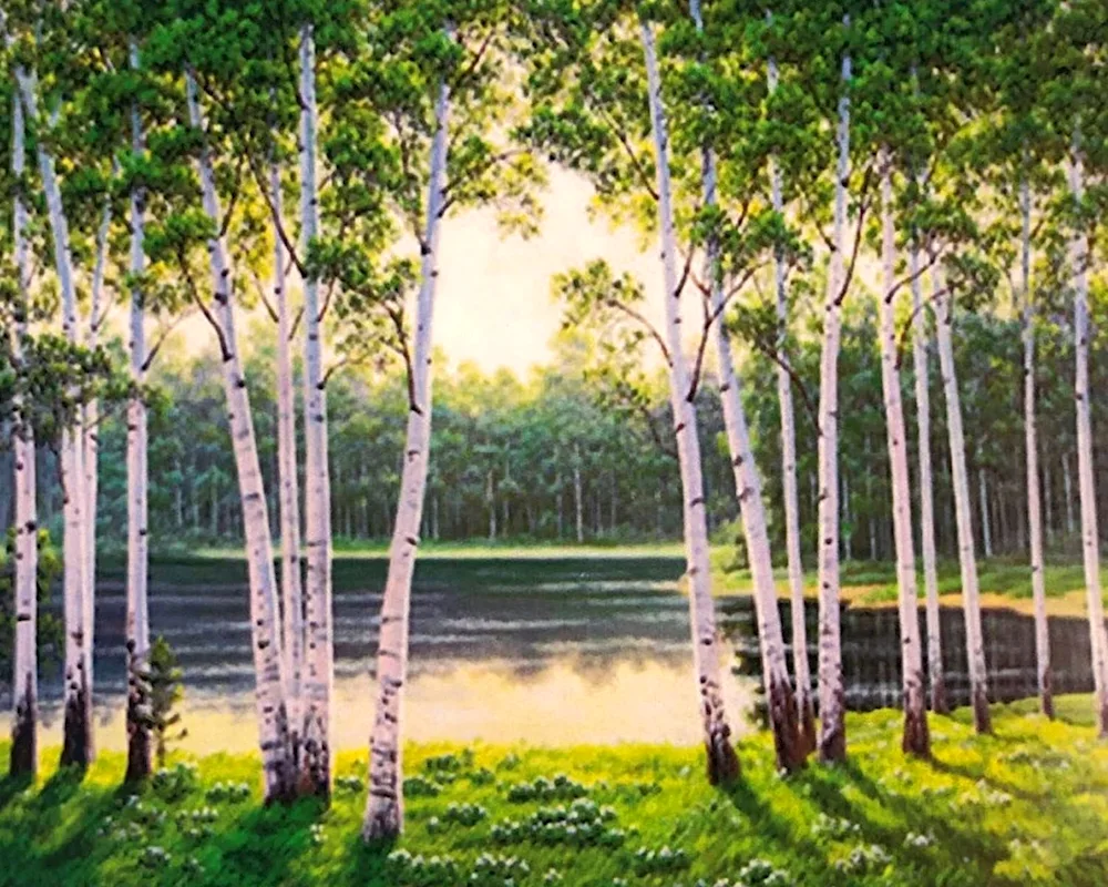 Birch grove Tomsk