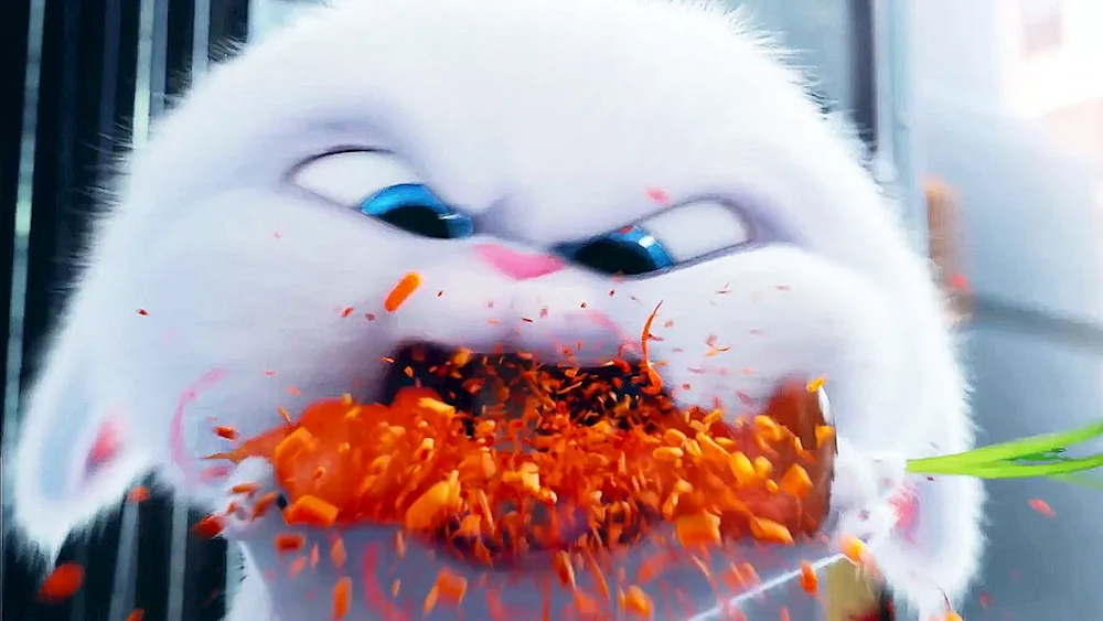 The Secret Life of Pets rabbit