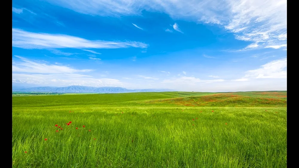 Georgian steppe plains