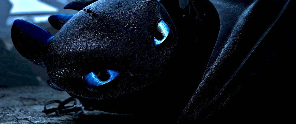 Toothless 1 part