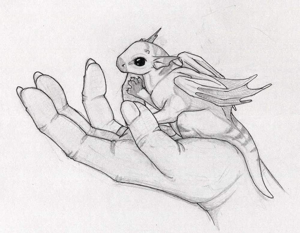 Toothless Fury