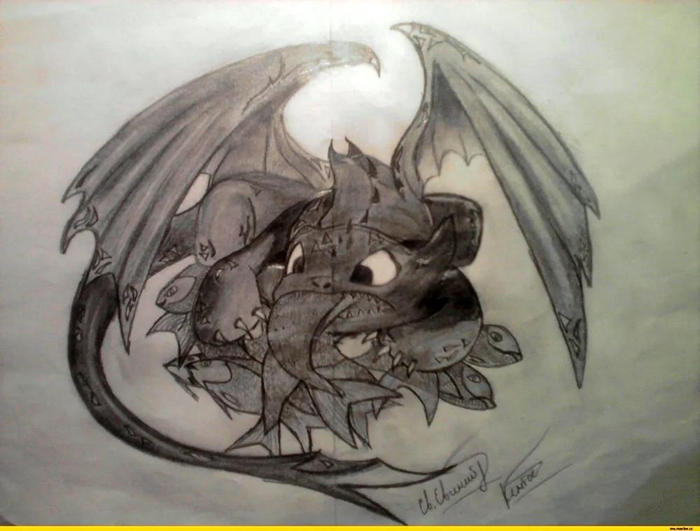 Toothless dragon pencil drawing