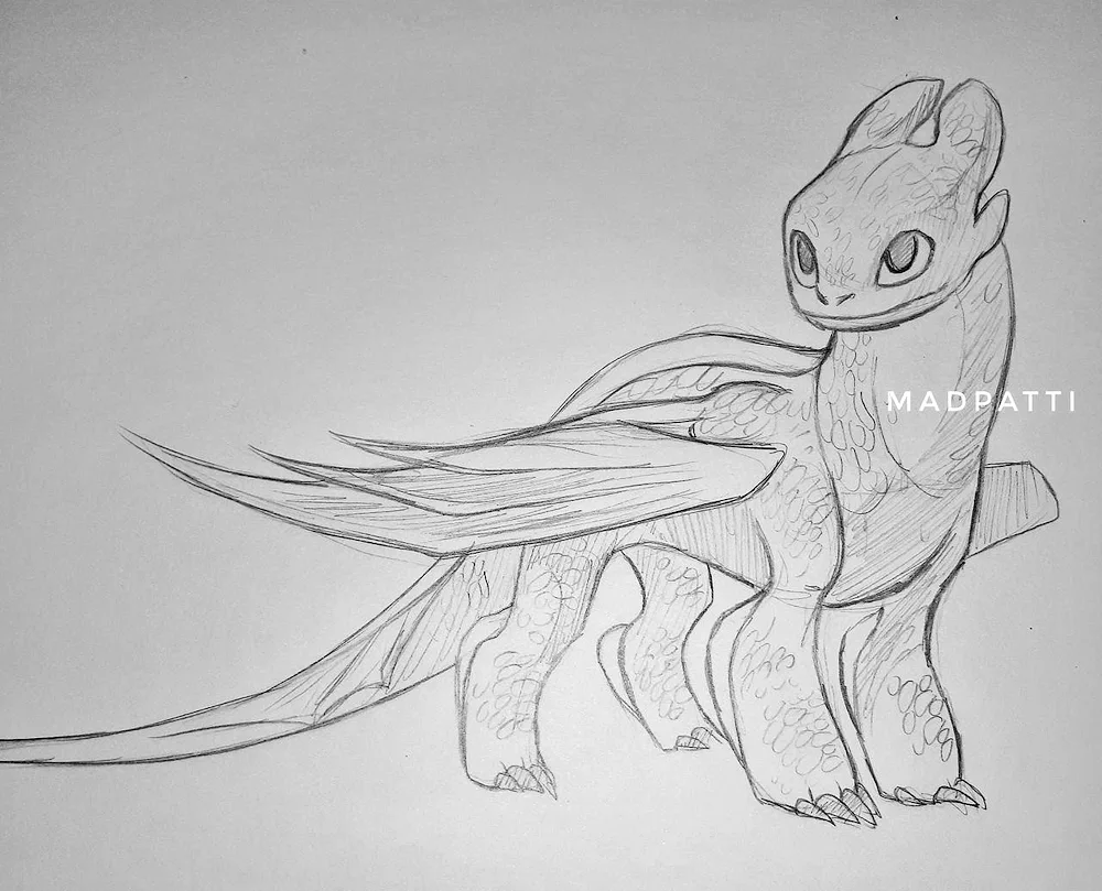 Toothless dragon pencil drawing