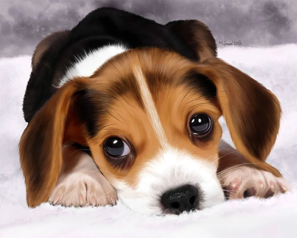 Beagle Terrier