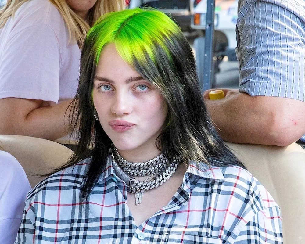 Billie lish with green hair. hair