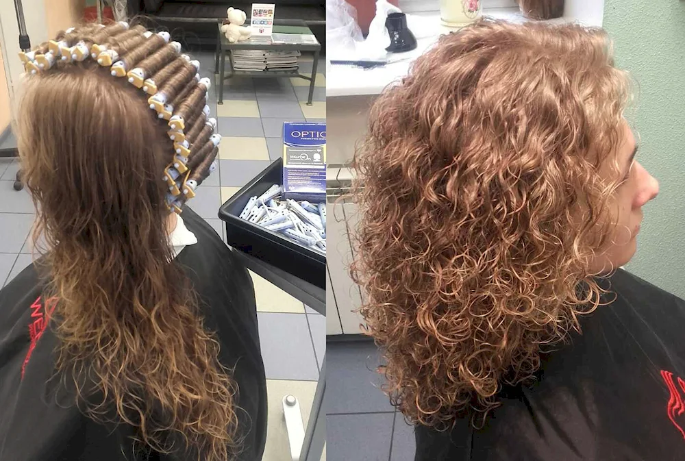Bio curl 2022