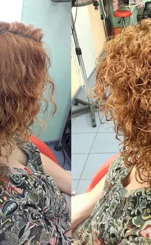 Bio curl 2023