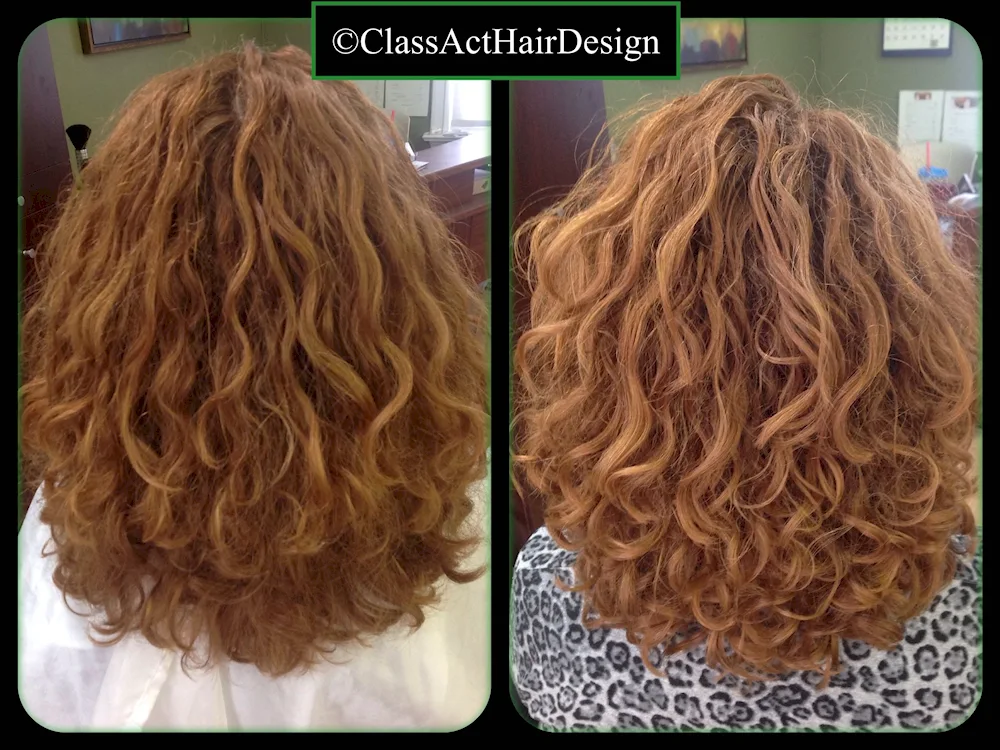 Bio curl 6a bob
