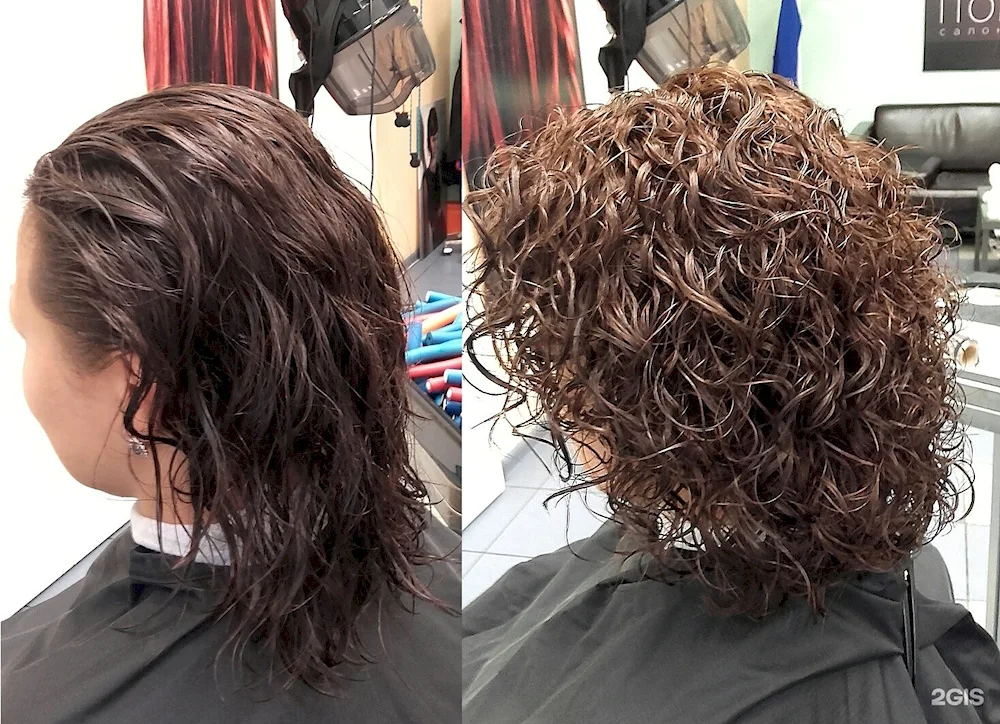 Bio curl 2023