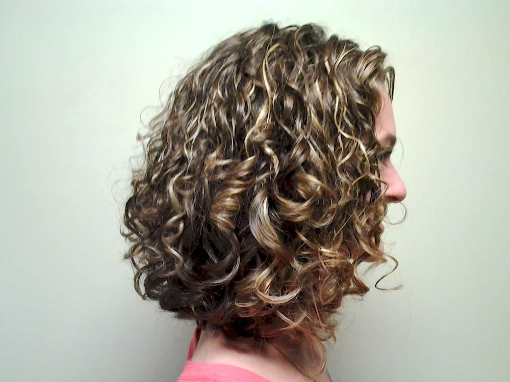 Bio curl 2022