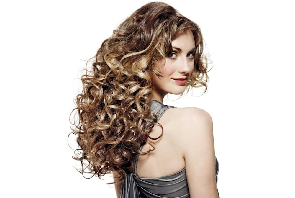 Bio curl Paul Mitchell