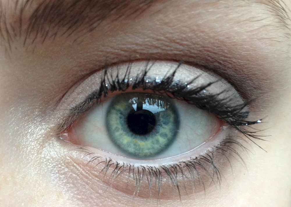 Turquoise eyes
