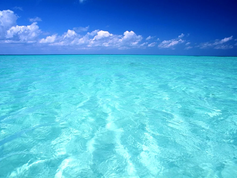 Transparent sea