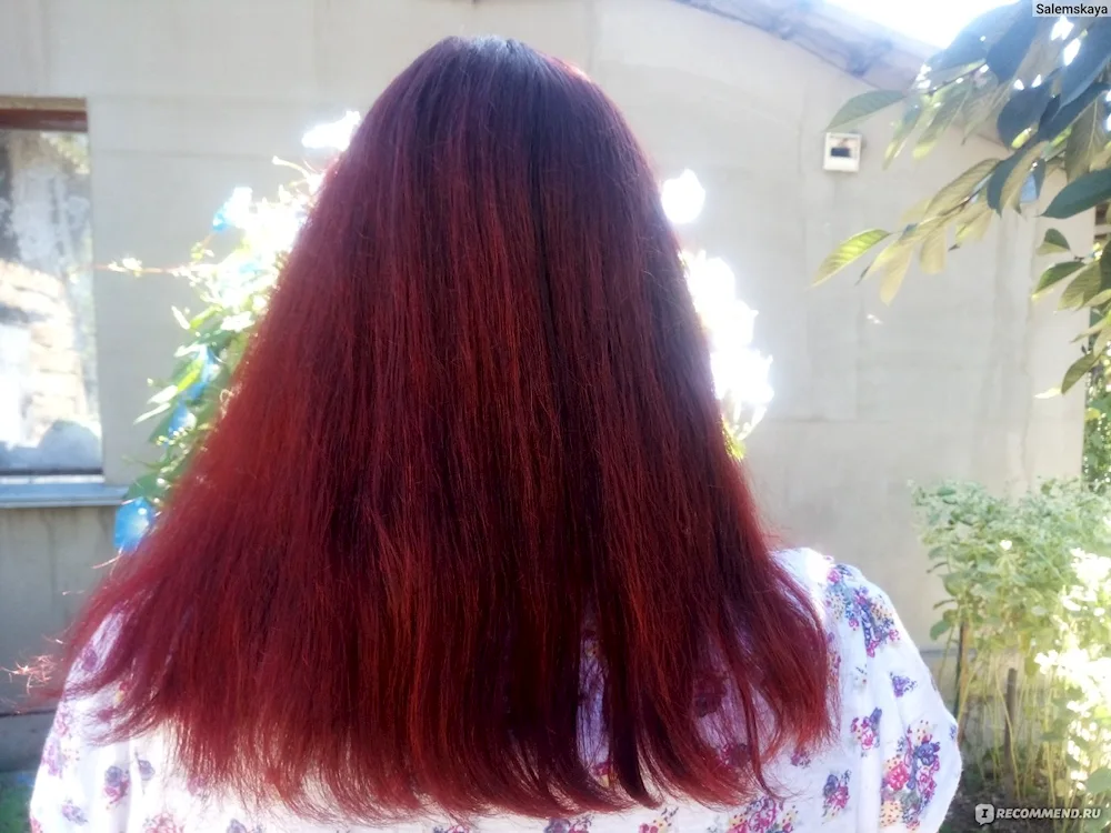 Blond Burgundy hair colour