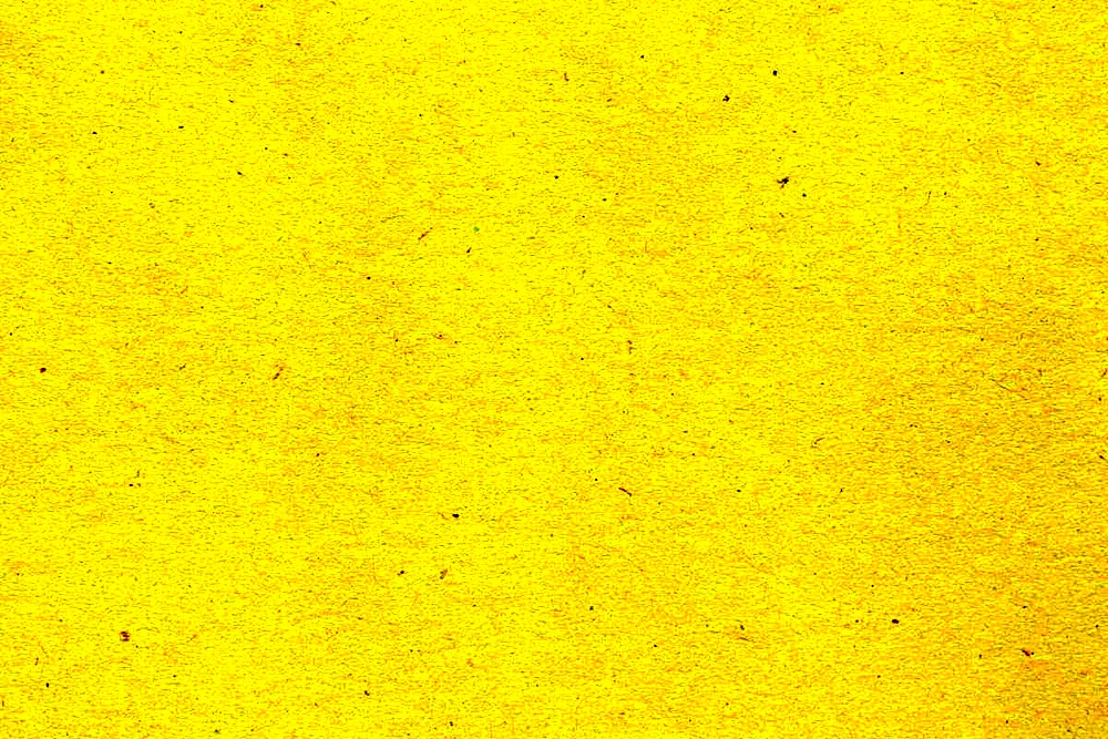 Pale yellow background