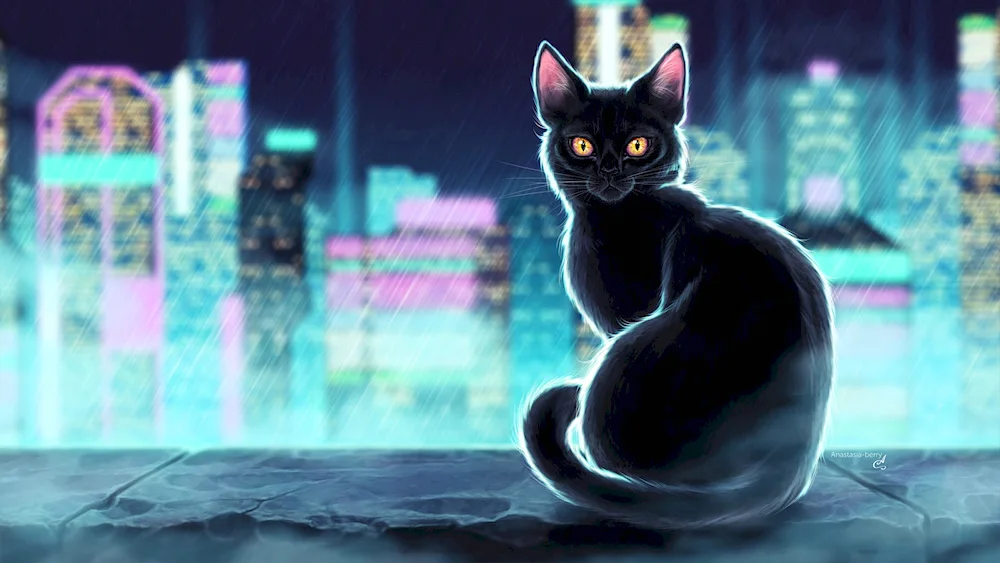 Black Cat anime