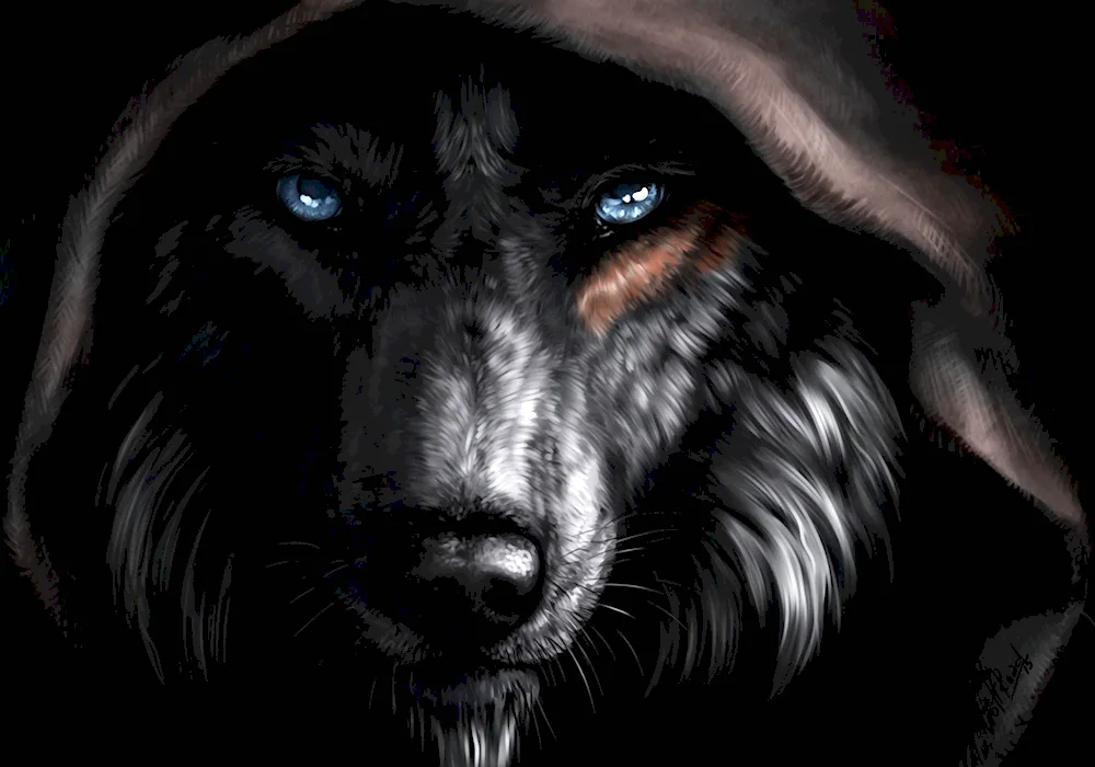 Black Wolf