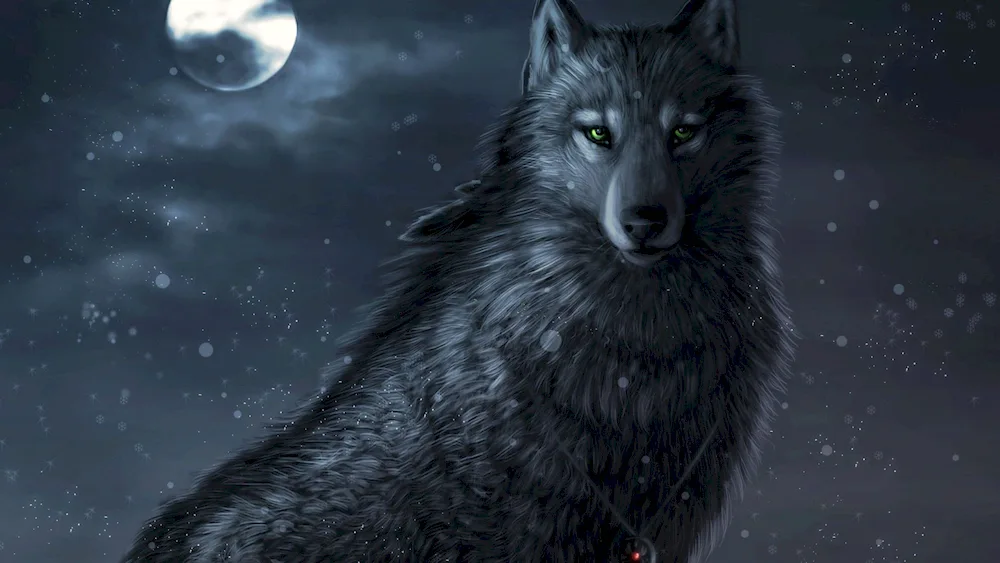 Black Wolf wolf anime