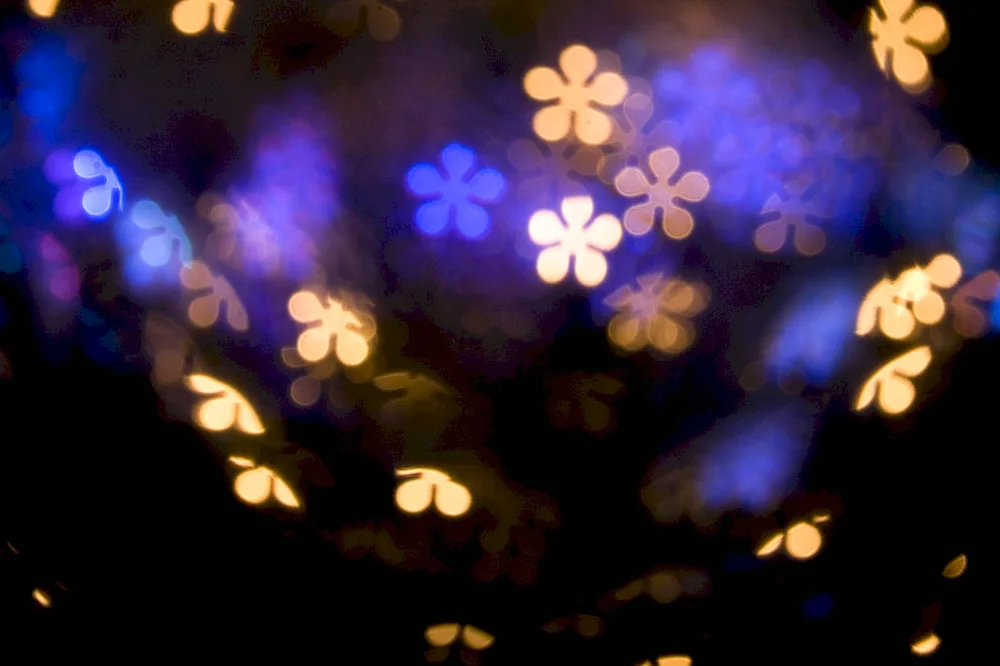 Bokeh highlights