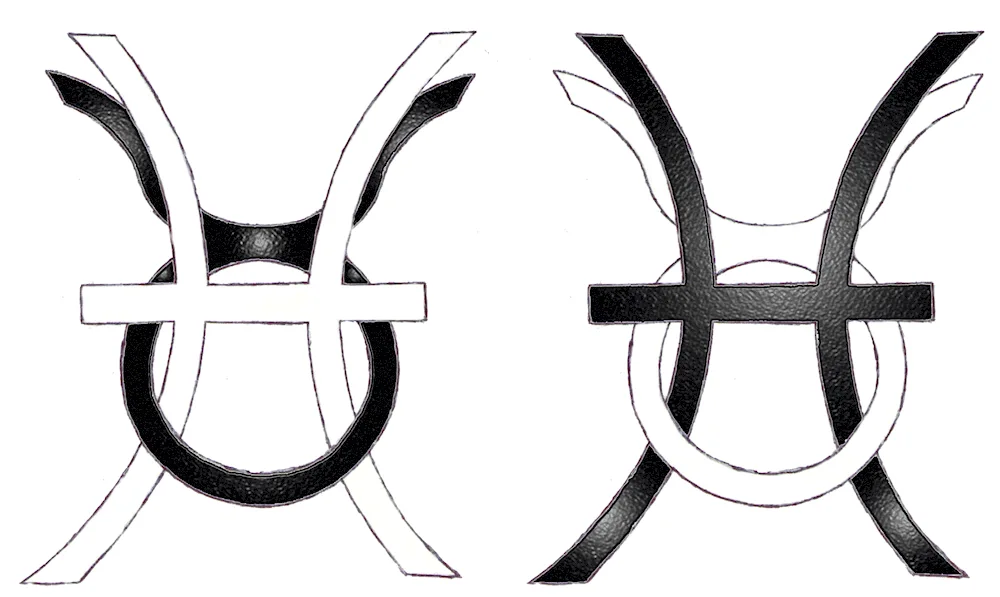 Gemini zodiac