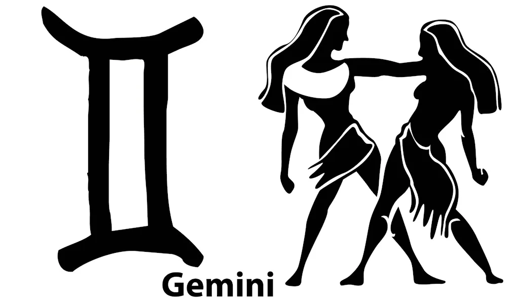 Gemini sign