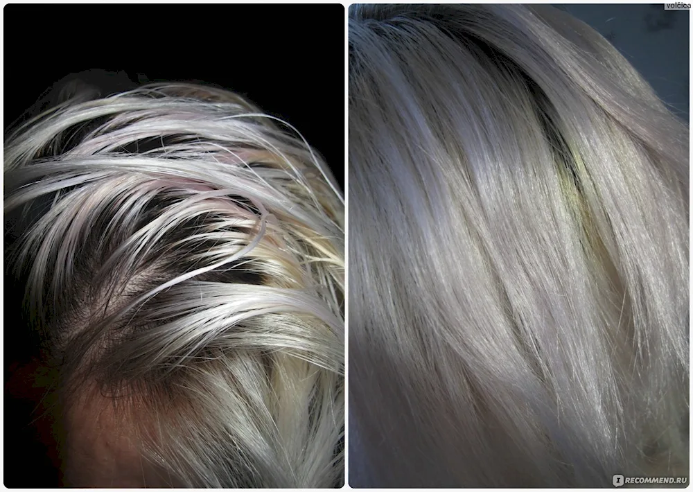 Blond explosion Arctic blond