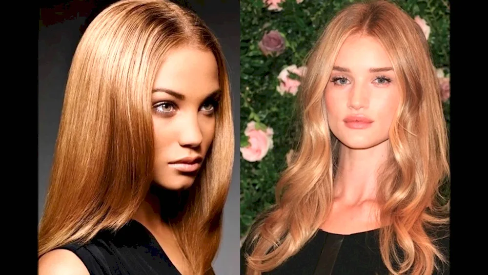 Honey Caramel Wheat Blonde