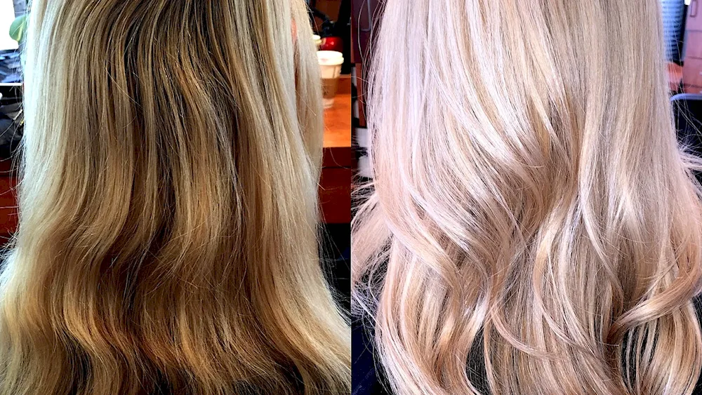 Champagne blonde 2023
