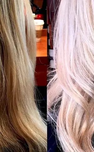 Champagne Blonde 2023
