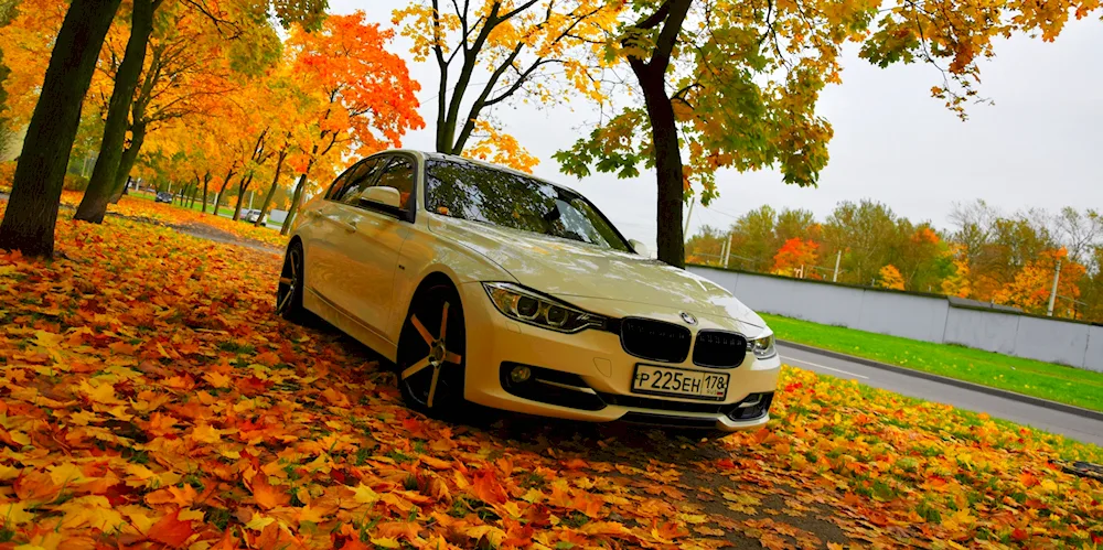 BMW e60 autumn