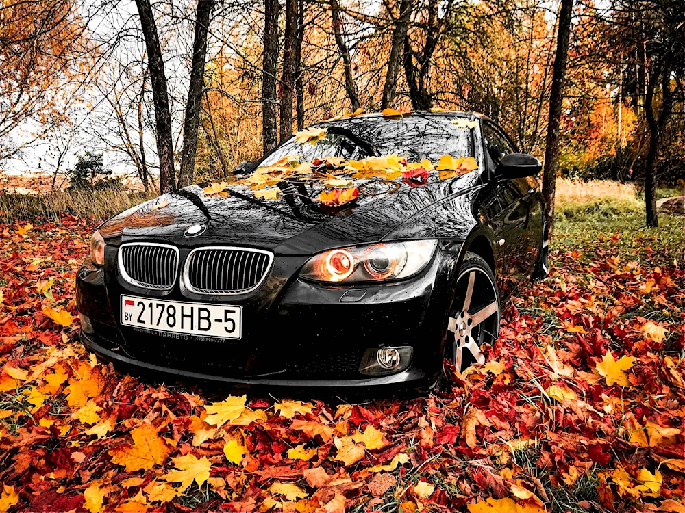 BMW e60 Autumn