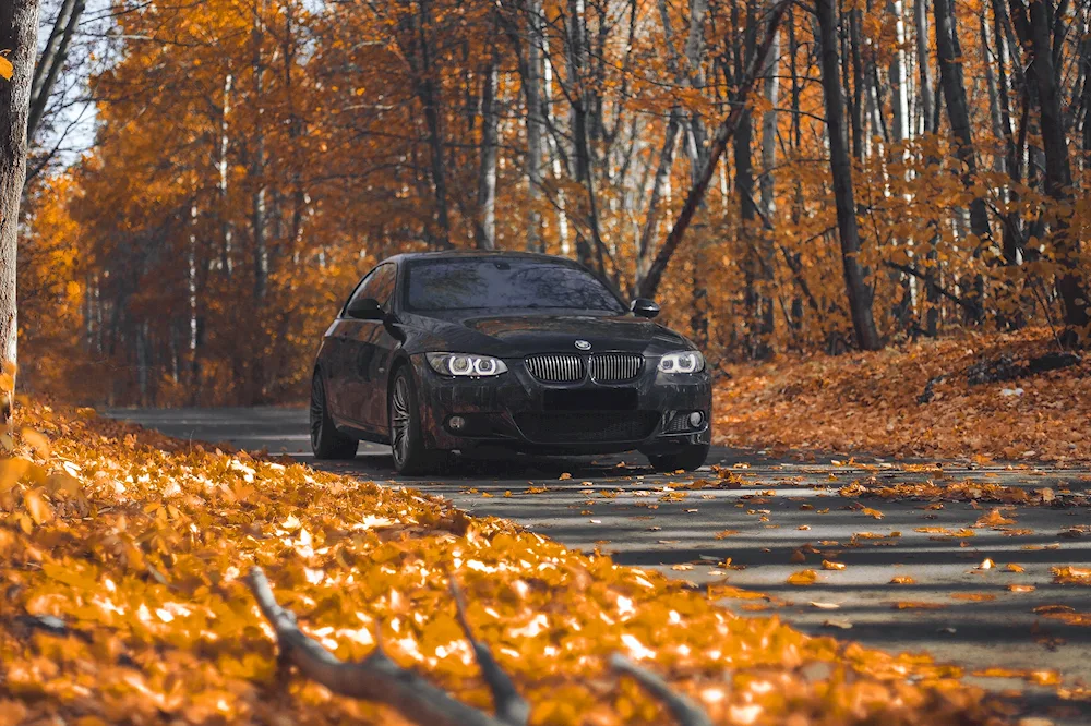 BMW e60 Autumn