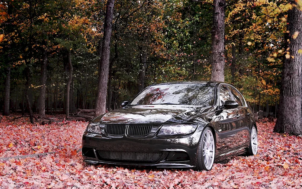 BMW e60 Autumn