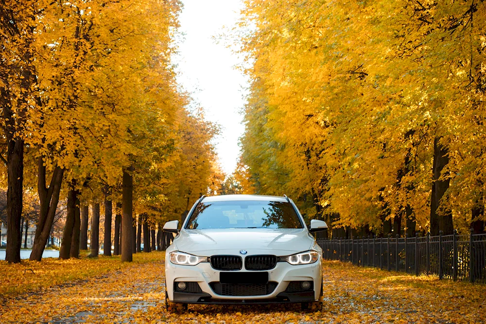 BMW e60 autumn