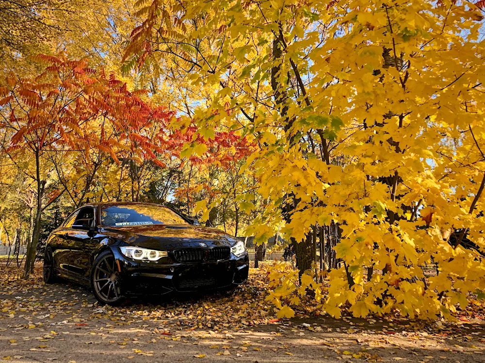 BMW e60 autumn